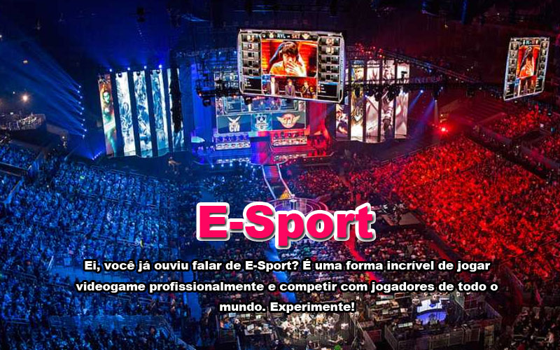 556bet